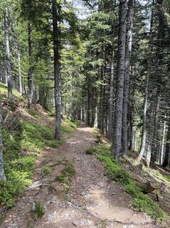 Photo de ChasquiRunner le long du parcours