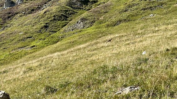 Photo de Stefan Knecht 1 le long du parcours