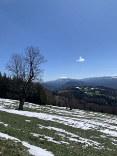 Fotografie z Michael Kogler na trase