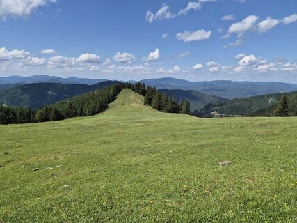 Foto von Markus Hummelbrunner entlang der Tour