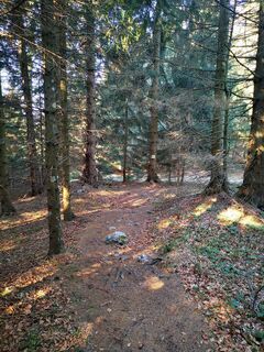 Foto de 3d63 ru^^n3r a lo largo del recorrido