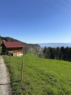 Foto de Cyrill Bischof a lo largo del recorrido