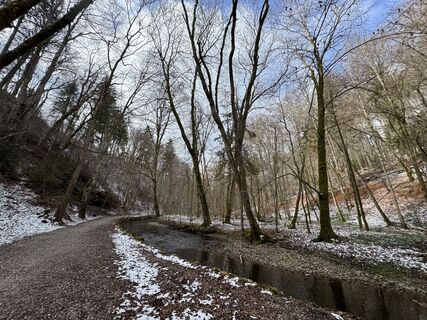 Fotografija s spletne strani Denise Miller na poti