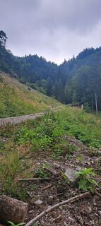Foto von Daniel 102 entlang der Tour