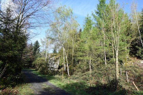 Blattiswald