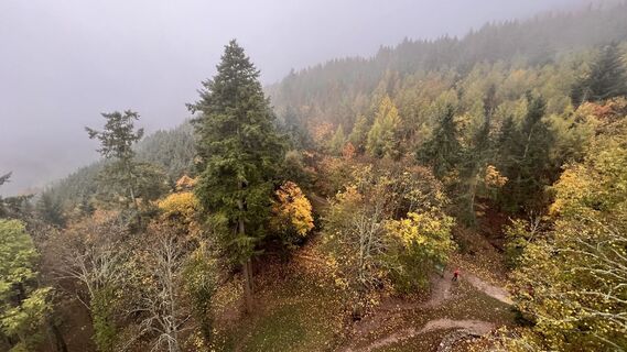 Foto da Ansgar Unde Vrederun lungo il tour