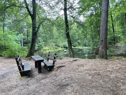 Foto von Arthur Muskalla entlang der Tour