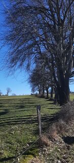Foto von Georg Meisterjahn entlang der Tour