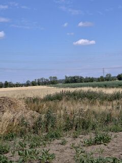 Foto von Sándor Molnár 7 entlang der Tour