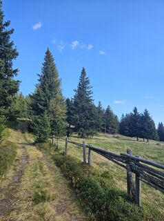 Fotografia z Ingrid H na trase