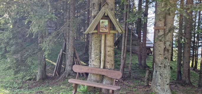 Zdjęcie z Marko wzdłuż trasy