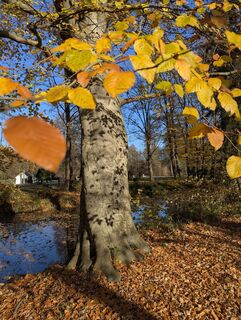 Foto de Mike Heinßmann a lo largo del recorrido