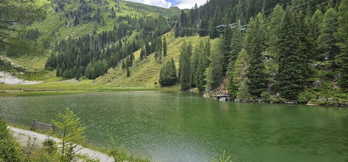 Fotografija s spletne strani Nico na poti