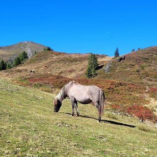 Foto de Brigitte Öttl a lo largo del recorrido
