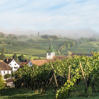 Oberhallau