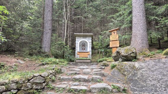 Fotografija s spletne strani Fabrizio Plesnizer na poti