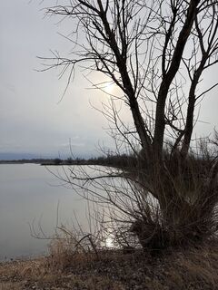 Fotografija s spletne strani Cyrill Bischof na poti