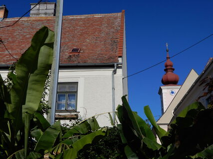 Orth an der Donau - Eckartsau - Hainburg an der Donau