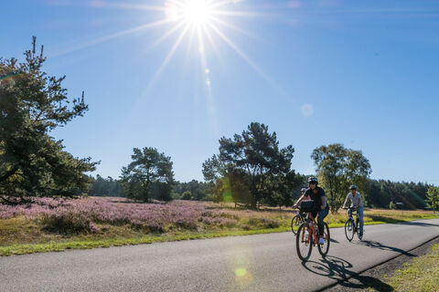 Radfahren im Paderborner Land | Senne bei Hövelhof