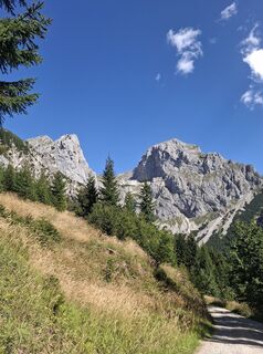 Fotografija s spletne strani Michaela Schnetzinger na poti