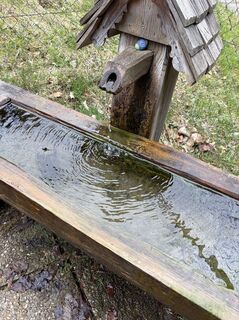 Fotografia z Mandy Friedrich na trase