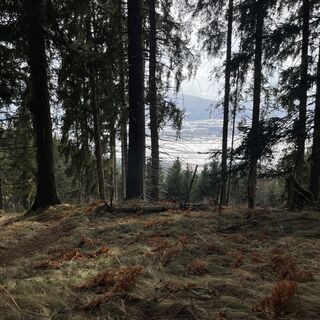 Aussicht Flatschacherhöhe