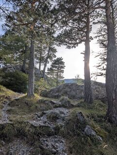 Fotografie z danistachi na trase