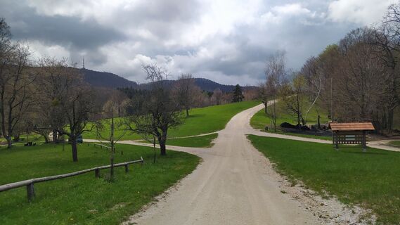 Photo de Ines Velicki le long du parcours
