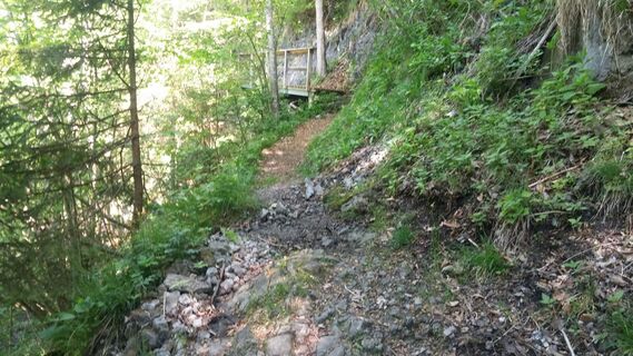Hoheneiberg-Trail