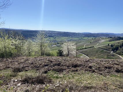 Foto von Romeo Juliett entlang der Tour