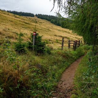 Landschaft