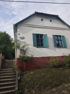 Fotografia z Katona Ferk Mariann na trase
