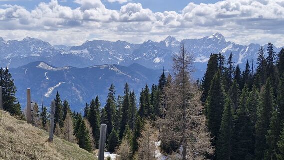 Zdjęcie z Štefan Jenko wzdłuż trasy