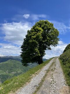Fotografija s spletne strani Guglielmo Battocletti na poti