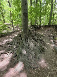 Photo de Bálint Tóth 4 le long du parcours