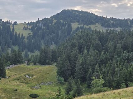 Foto von Altmann Andreas entlang der Tour