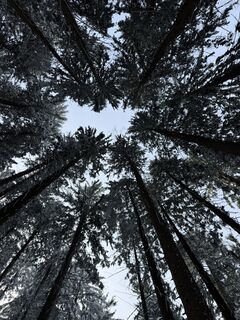 Kuva osoitteesta Aung Ritter matkan varrella