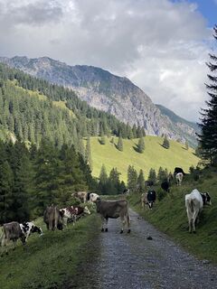 Foto von Stefan Zahlbrecht entlang der Tour