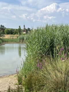 Foto von Wilfried Wagner entlang der Tour