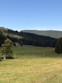 Fotografia z MonikaFischer77 na trase