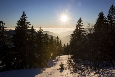 Winterlandschaft am Feldberg