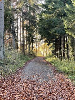 Photo de holgerwag le long du parcours