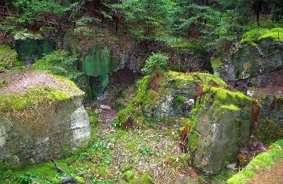 Bunker 113