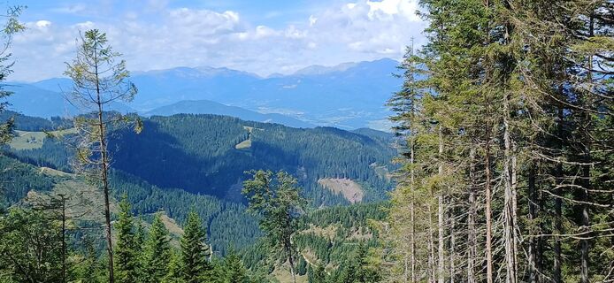 Foto von Franz Graßl entlang der Tour