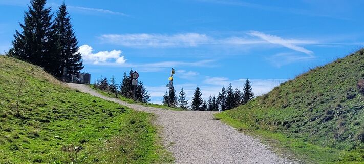 Foto von Nicky entlang der Tour