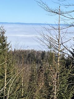 Foto von Karl Hohenwarter entlang der Tour