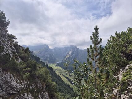 Photo de alinradu le long du parcours