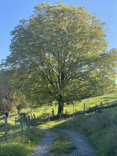 Fotografia z Eduard Bürge na trase