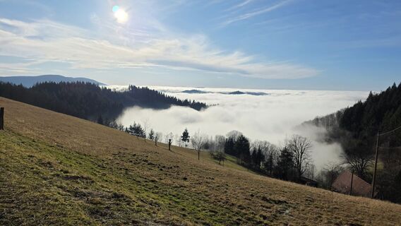 Fotografia z W B MA na trase