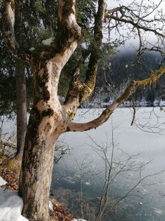 Fotó a Dagmar Hofer honlapról a túra során
